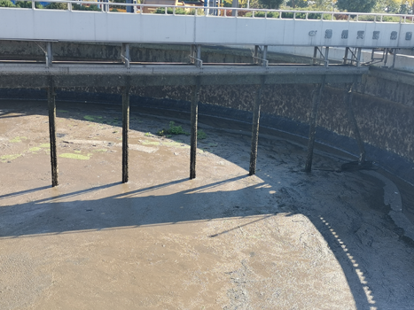 467圖片1.png 467圖片1.png